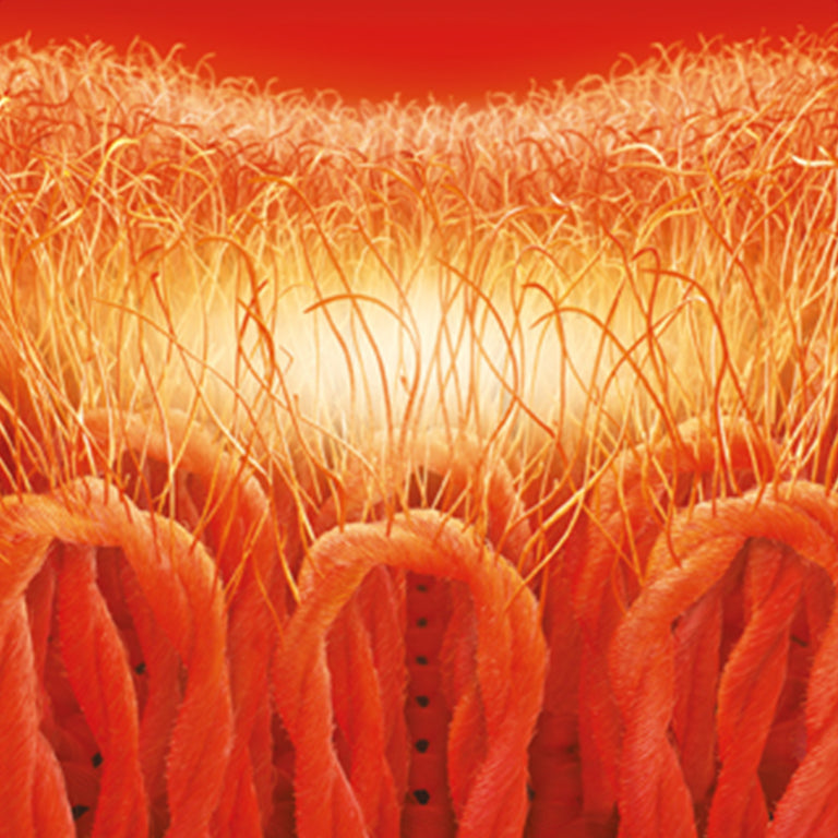 heat holders illustration of expert brushing process