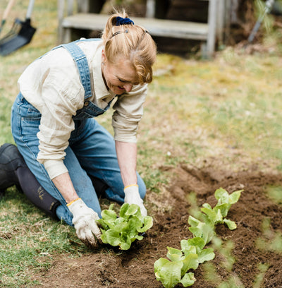 Spring into Action with The Royal Horticultural Society's Gardening Tips