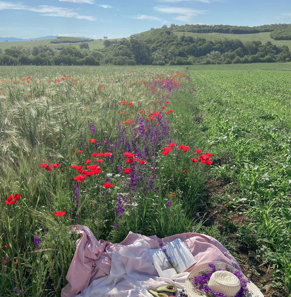 The Perfect Packing Guide: Essentials for a Family Picnic